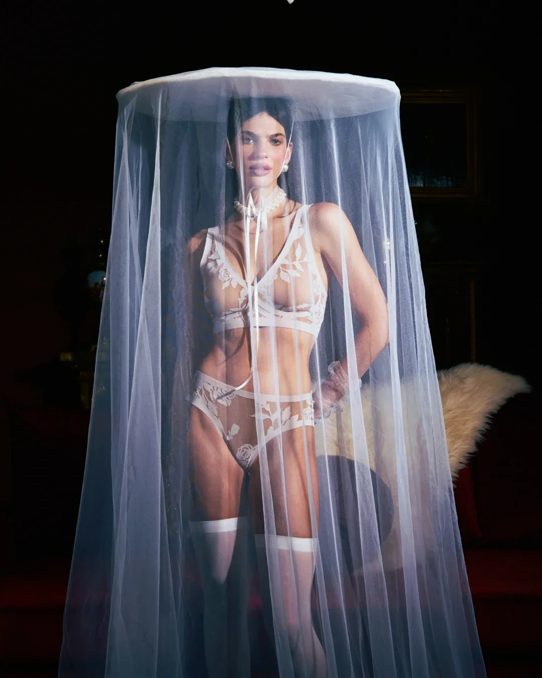Madam Lux Sheer Brief - Image 3