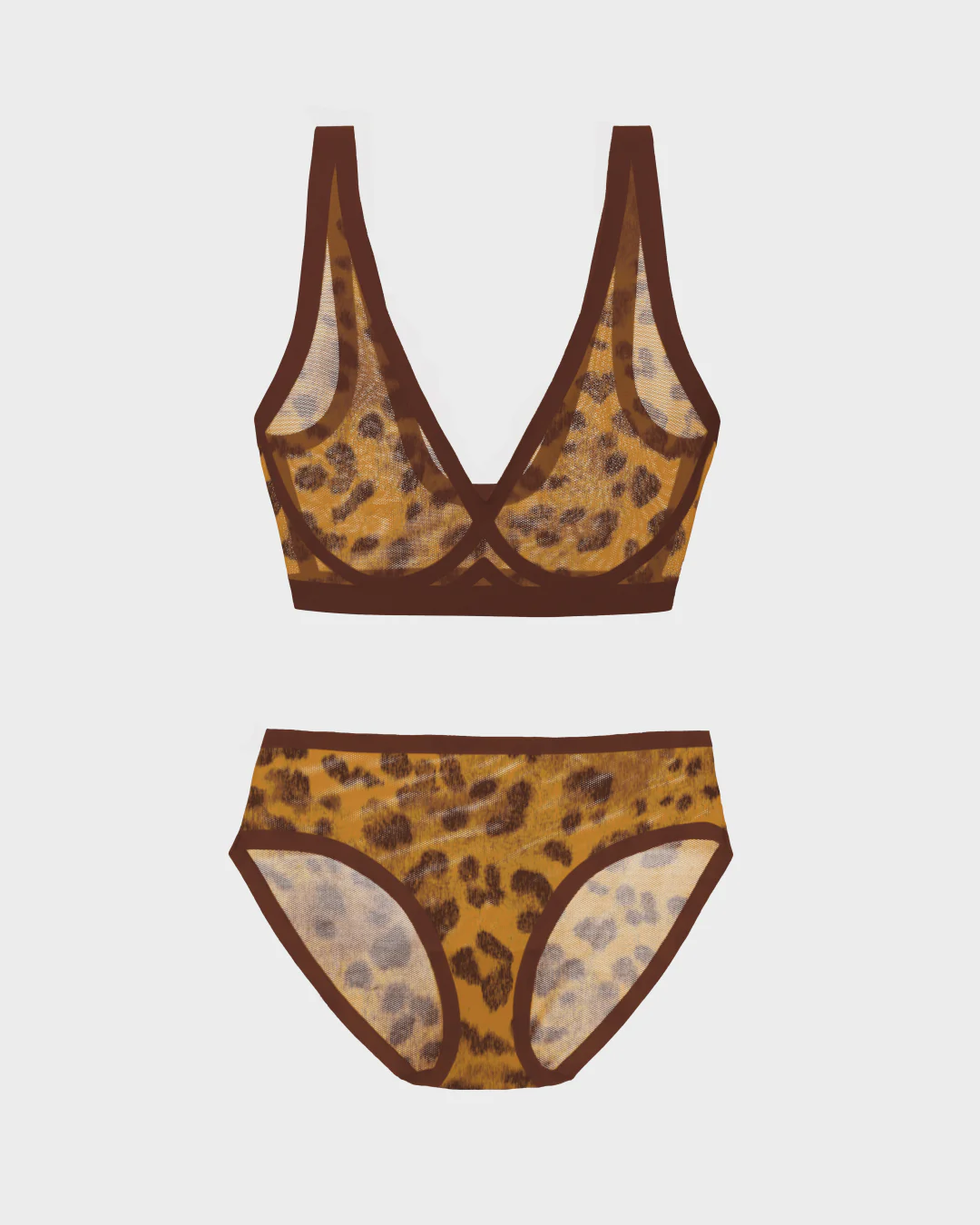 Panthra Sheer Bralette and Brief Set